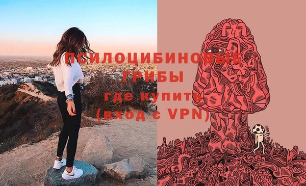 мдпв Абинск