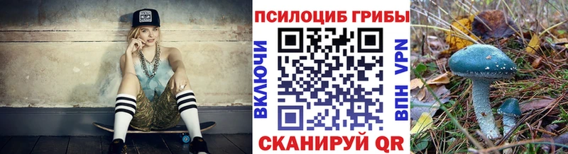мега tor как найти наркотики Поворино Галлюциногенные грибы мицелий